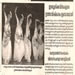 Mathrubhumi 11-Nov-2006